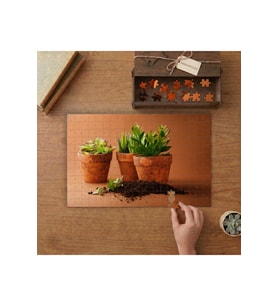 Saksıda Dikenli Çiçekleri Tasarımı 240 parça Ahşap Puzzle Ahşap Kutuda MP10027