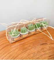 5'li Dekoratif Succulent Tealight Kokulu Mum Seti