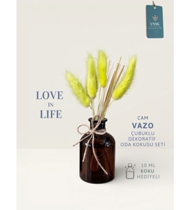Love in Life  İthal Cam Vazo Çubuklu Dekoratif Oda Kokusu Seti  Oda Kokusu Hediyeli