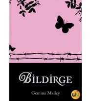 Bildirge