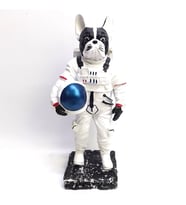 BY ARİ BULLDOG ASTRONOT BİBLO BB336-2