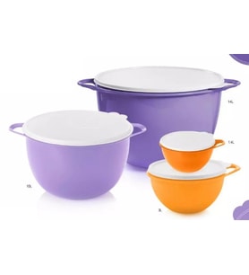 Tupperware Büyük Renkli 4 lü Miksim Saklama Kabı Set