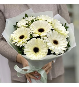Beyaz Jelatinde Şık Beyaz Gerbera Buketi