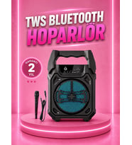 Taşınabilir 6.5” Bluetooth Hoparlör Usb Tf Kart Mikrofonlu Şarjlı Sistem