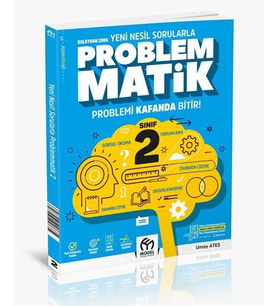 MODEL 2. SINIF PROBLEMMATİK