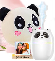 Kişiye Özel Panda H2o Işıklı Buhardanlık & Polar Panda Yastık Arkadaşa Hediye