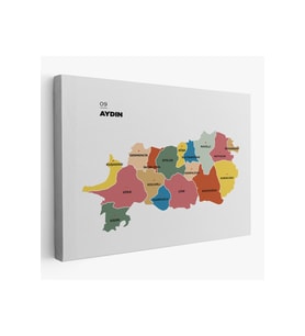 Aydın İli ve İlçeler Haritası  Dekoratif Kanvas Tablo 1277