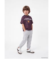LCW Kids Gri Erkek Çocuk Jogger Eşofman Altı