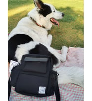 Pan Bag - Köpek Gezdirme Çantası (Siyah)
