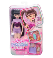 Barbie Dream Besties Renee Bebek ve Aksesuarları HYC24