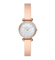 FOSSIL FBQ3894