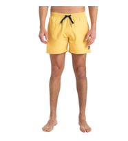 Quiksilver Everyday Solid Volley Erkek Deniz Şortu EQYJV04120