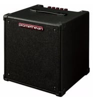 Ibanez P20-U 20W Kombo Bas Gitar Amfisi