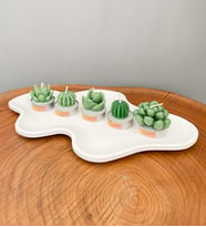 5'li Dekoratif Succulent Tealight Kokulu Mum ve Asimetrik Dekoratif Tabak  Aksesuar Seti
