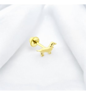 Glorria Altın Köpek Helix Piercing