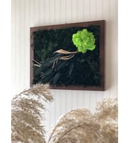 Archimoss Design Mumyalanmış Mix Yosun Tablo