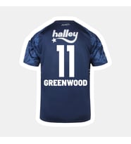 Greenwood-11 Fênerbâhçe 26-27 Yeni Sezon Yetişkin Futbol Forması