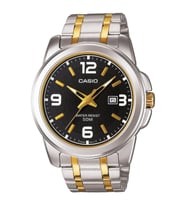 Casio CSISTE231 Erkek Kol Saati