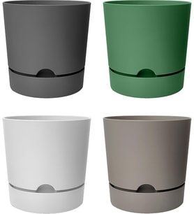 Adet Begonya Saksı Tabaklı Drenajlı Mat Plastik Çiçek Saksısı (Karışık, 9 Litre)