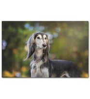 Cakatablo Uzun Saçlı Süslü Köpek MDF Tablo