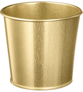 Daıdaı Galvanizli Çelik Saksı - Gold Pirinç Rengi - 9 cm