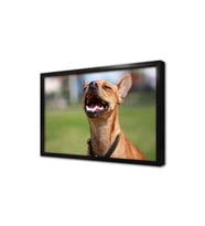 Köpek Çerçeveli Mdf Tablo