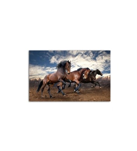 Koşan Defne Atları Tablo 60 X 80 Cm