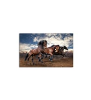 Koşan Defne Atları Tablo 60 X 80 Cm