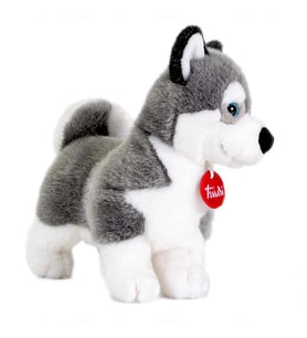 Peluş Husky Marcus 20 cm