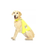 Pawise Reflektörlü Köpek Yeleği Small