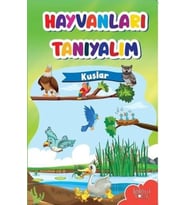 Muhteşem Çizimler ve Kolay Anlatım ile Hayvanları Tanıyalım Kuşlar