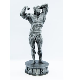FLEXIS ARNOLD SCHWARZENEGGER FİGÜRÜ IRON PURE 19 CM (Gümüş)