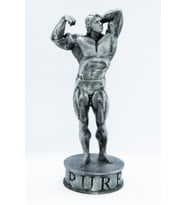 FLEXIS ARNOLD SCHWARZENEGGER FİGÜRÜ IRON PURE 19 CM (Gümüş)