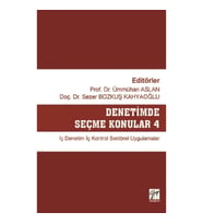 Denetimde Seçme Konular 4