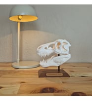 T-Rex Kafatası Biblosu - Dinozor Biblosu - Dinozor Figürü – Gücün ve Tarihin Buluştuğu Dekoratif Parça