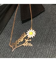 PAPATYA GÜMÜŞ  JEWERLY