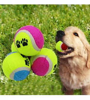 Eğitici Oyun Topu Kedi ve Köpek İçin Oyuncak Top