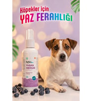 Reflex Care Yaban Mersini Kokulu Köpek Kolonyası 125 ml