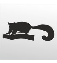 Folyo Sticker Kokarca 100cm Uzunluk (Karışık)