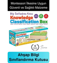 Premium Ahşap Bilgi Sınıflandırma Kutusu Zeka Geliştiren Eğitici Öğretici Çocuk Oyuncak El Beceri