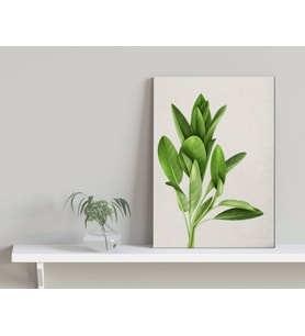 BK Home Green Plant Tasarımlı Kanvas Tablo-4