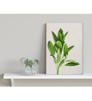 BK Home Green Plant Tasarımlı Kanvas Tablo-4