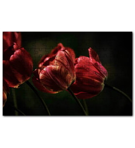 Cakapuzzle Kırmızı Gelincikler Karanlık Arkaplan Puzzle Yapboz MDF (Ahşap) (120 Parça)
