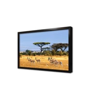 Safari Çerçeveli Mdf Tablo