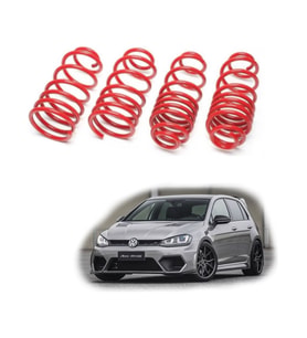 Volksvagen Passat B8 2014-2019 Uyumlu Coil-Ex 4.5 cm Spor Yay