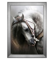 Hayvanlar Temalı Kanvas Tablo 50 x 70 cm Silver Çerçeve