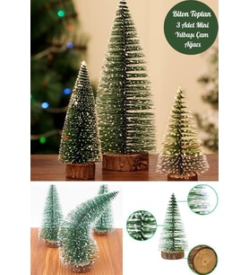 3 Lü Set Nevada Mini Çam Ağacı Uçlarına Kar Yağmış Karlı Yılbaşı Hediyesi  15 - 12 - 8  cm (Karışık)