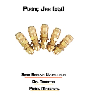 Pirinç Jak (Dişi)