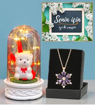 Gerçek Ametist Taşlı Lotus Kolye ve Led Işıklı Fanus Hediye Seti (Model 7)