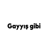 Gayış Gibi Oto Cam Sticker Siyah 20*4 Cm